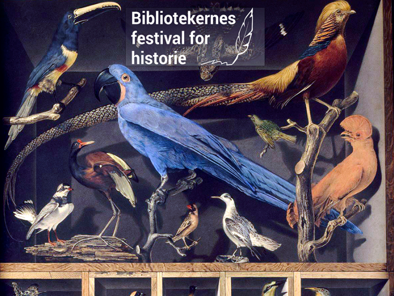 Bibliotekernes Historiefestival 2024